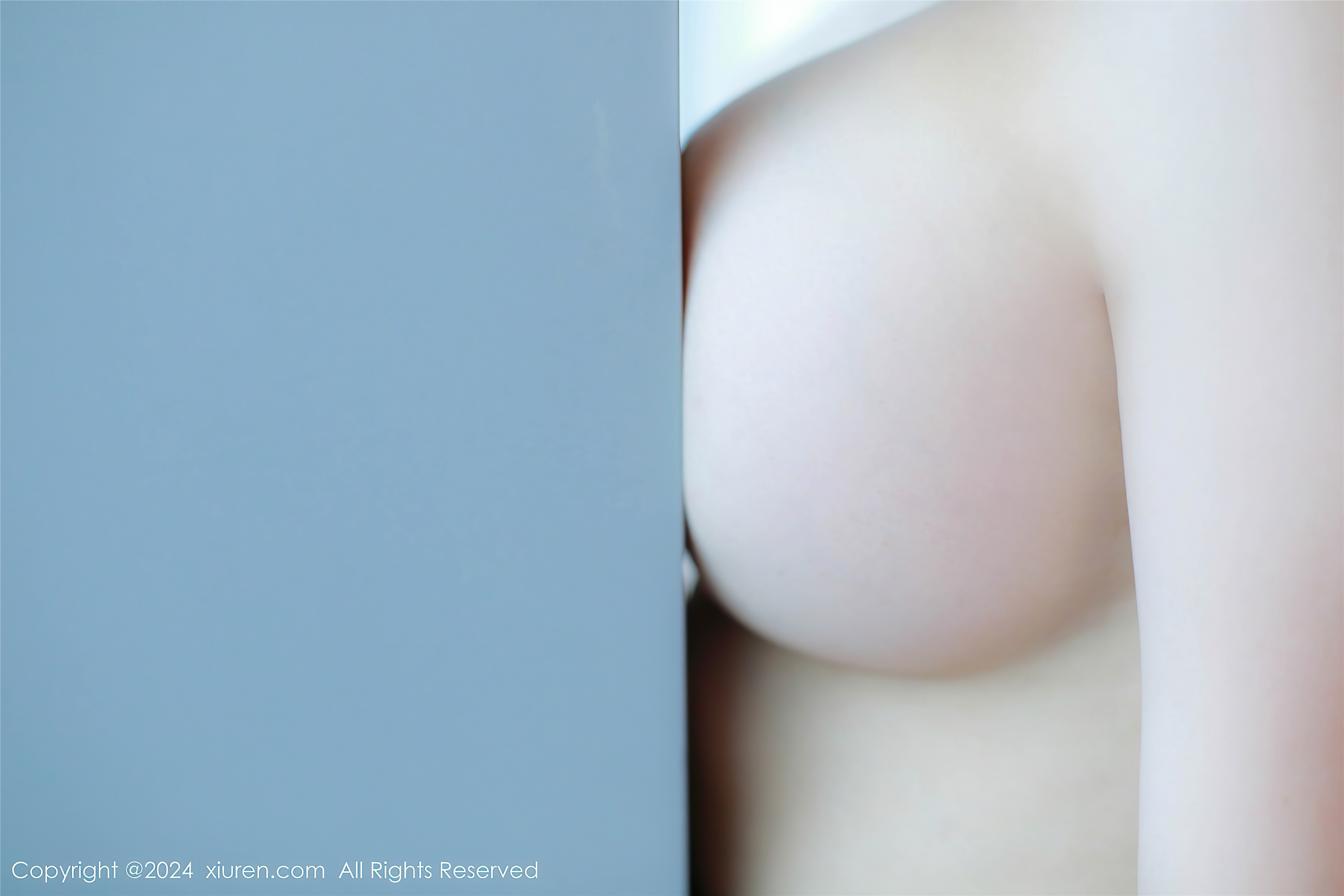 Xiuren秀人网 2024.10.25 NO.9341 田冰冰